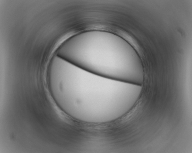 X0000114151050200910081109