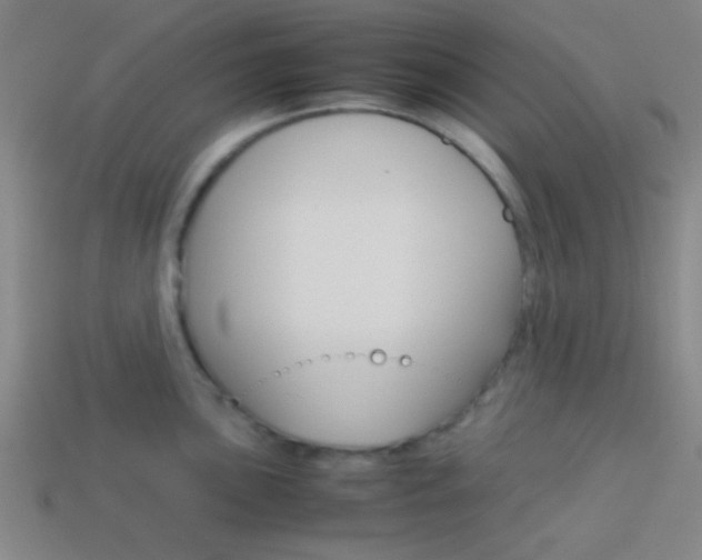 X0000114151051200910081109