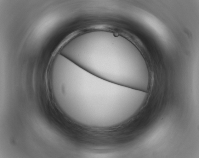 X0000114151052200910081109