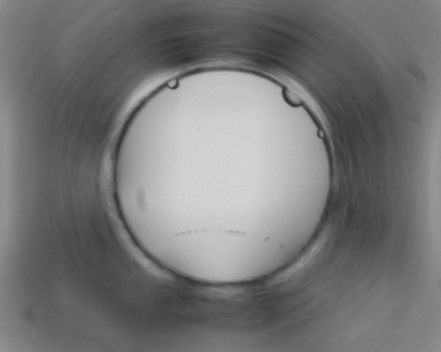 X0000114151053200910081109