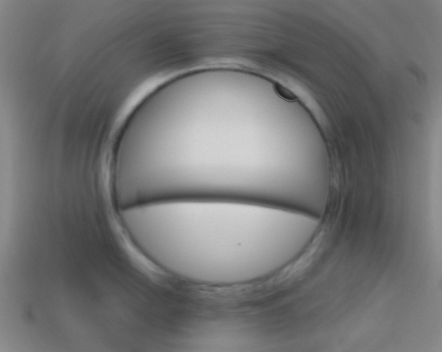 X0000114151054200910081109