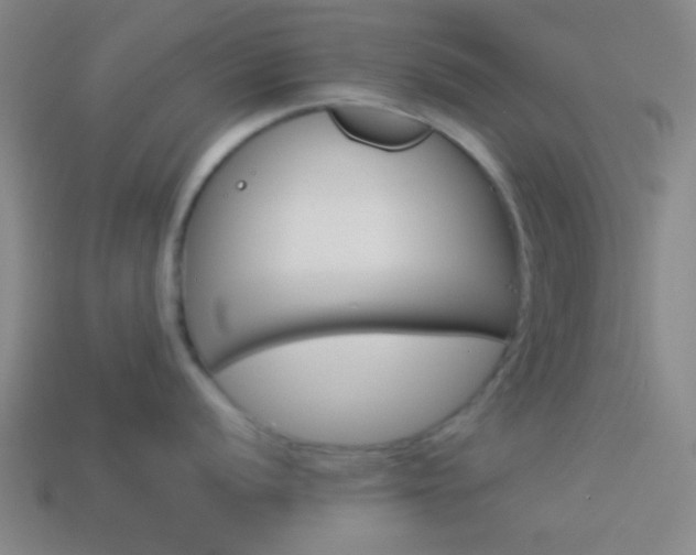 X0000114151056200910081109