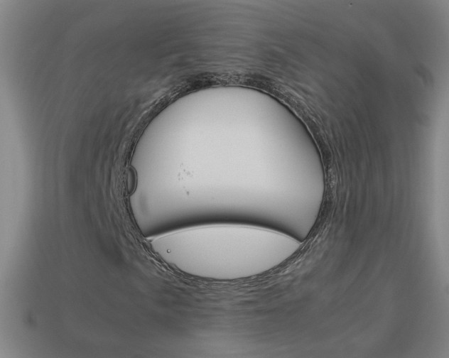 X0000114151057200910081108