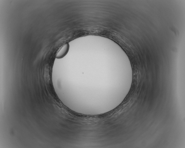 X0000114151058200910081108