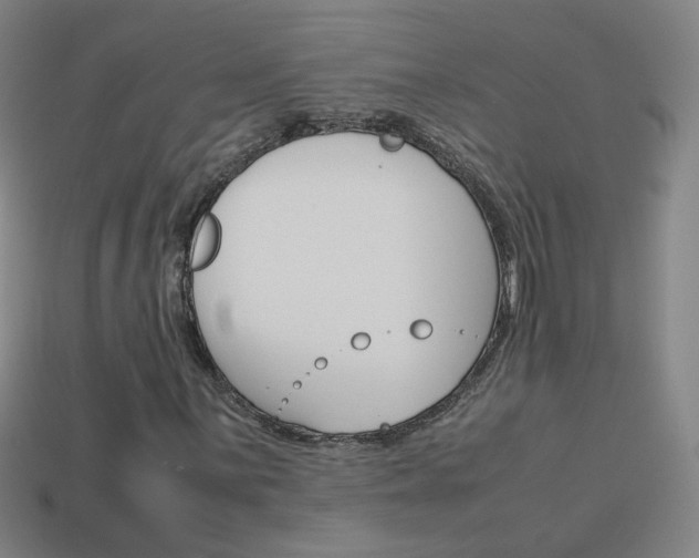 X0000114151059200910081108