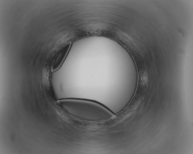 X0000114151060200910081108