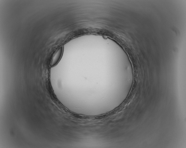 X0000114151061200910081108