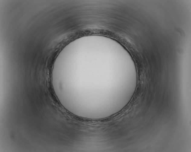 X0000114151062200910081108