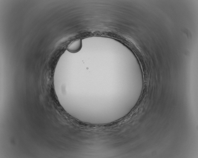X0000114151063200910081108