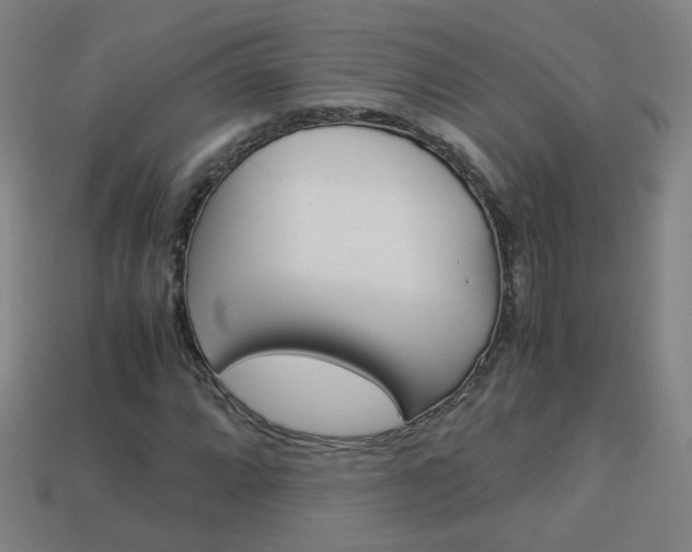 X0000114151064200910081108