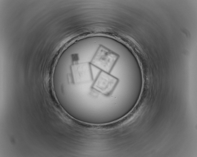 X0000114151065200910081108
