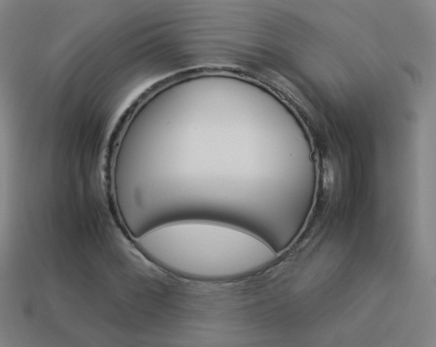 X0000114151068200910081108