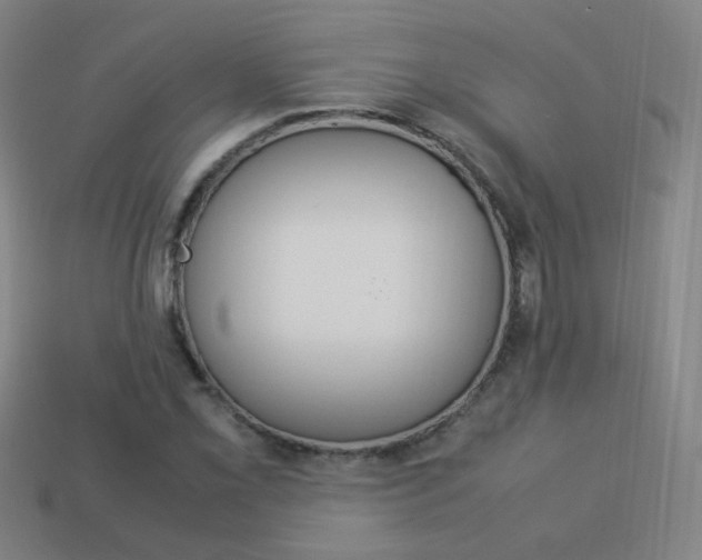 X0000114151069200910081108