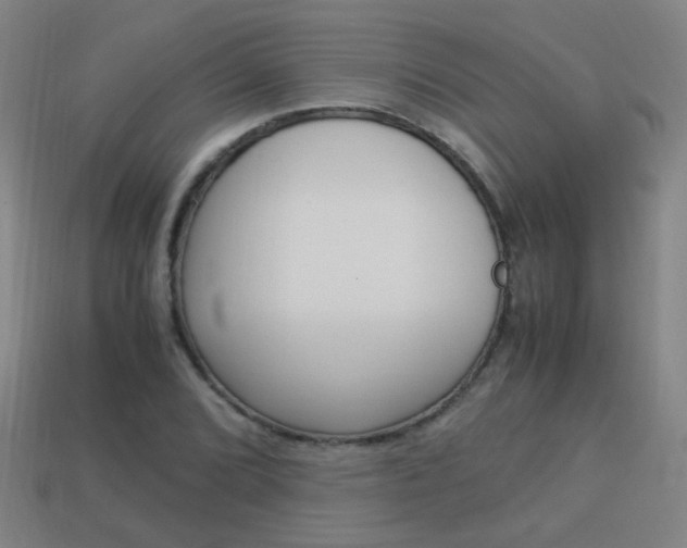 X0000114151072200910081108