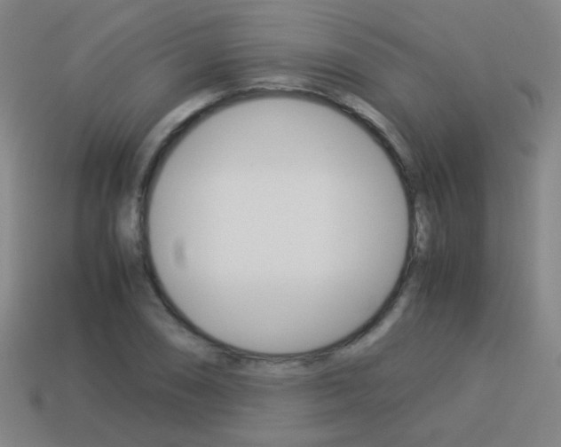 X0000114151074200910081108