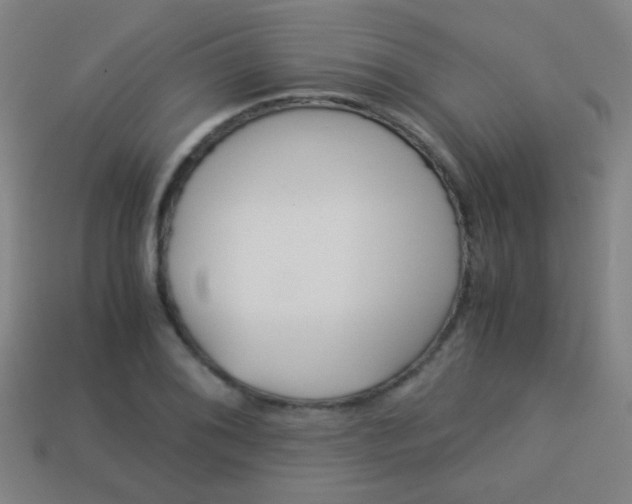 X0000114151076200910081108