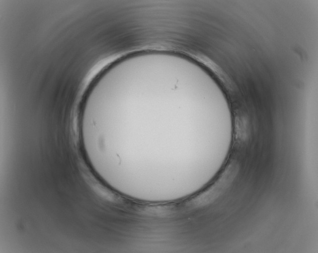 X0000114151078200910081108