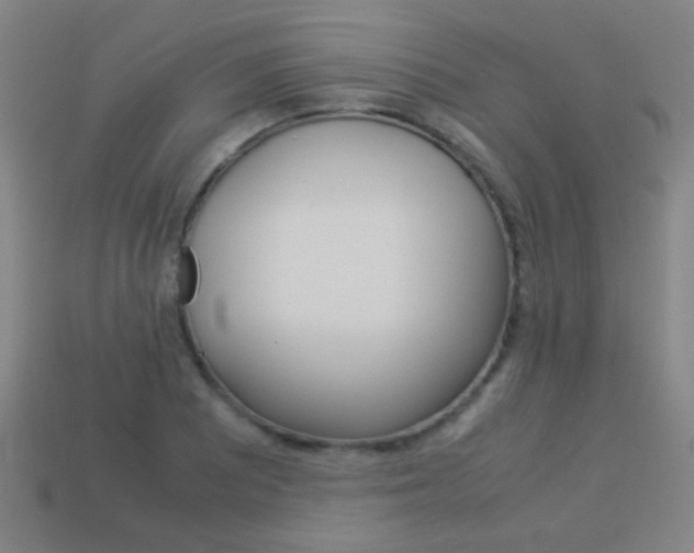 X0000114151081200910081108