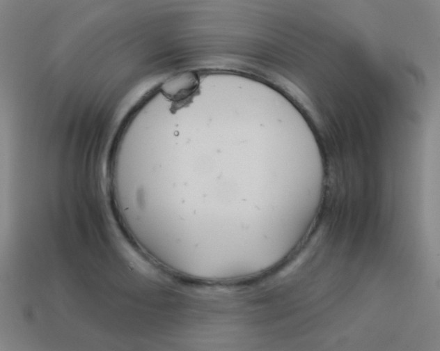 X0000114151082200910081108