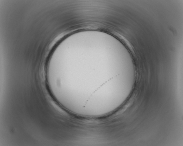 X0000114151083200910081108