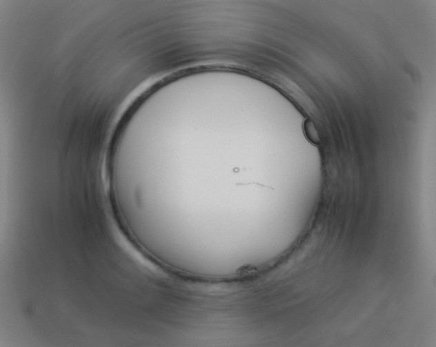 X0000114151084200910081108