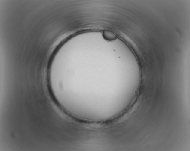 X0000114151085200910081108