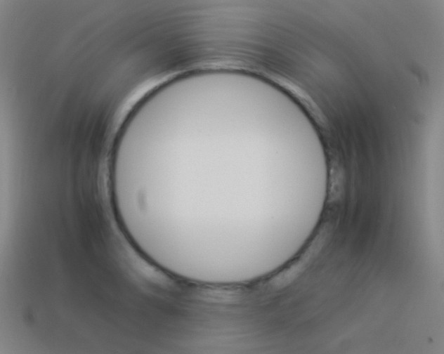 X0000114151086200910081108