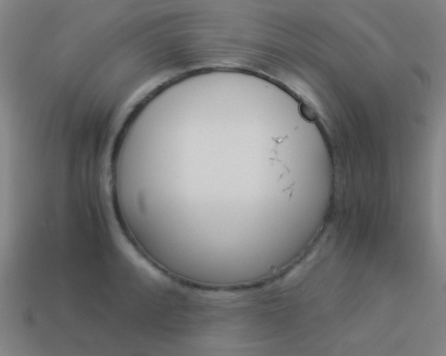 X0000114151088200910081107