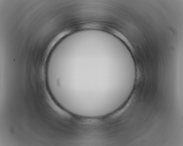 X0000114151090200910081107