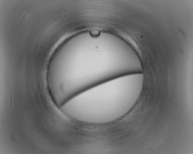X0000114151091200910081107