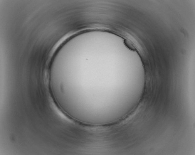 X0000114151092200910081107
