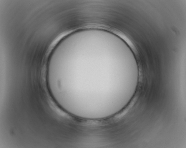 X0000114151094200910081107