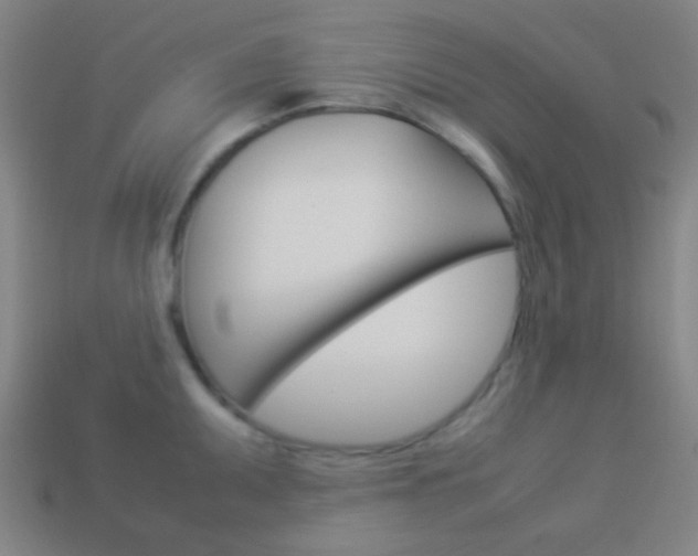 X0000114151095200910081107