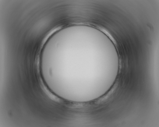X0000114151098200910081107