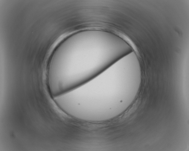 X0000114151099200910081107