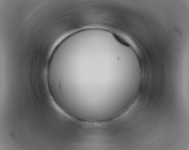 X0000114151100200910081107