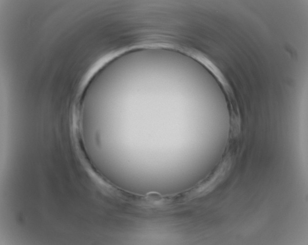 X0000114151101200910081107