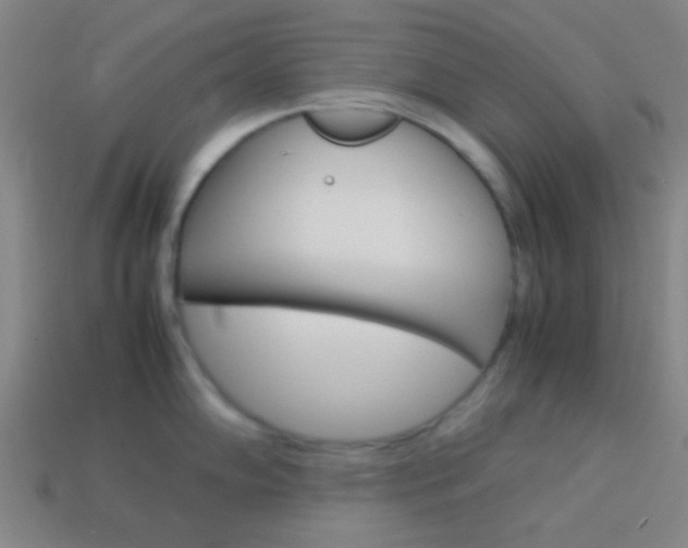X0000114151102200910081107