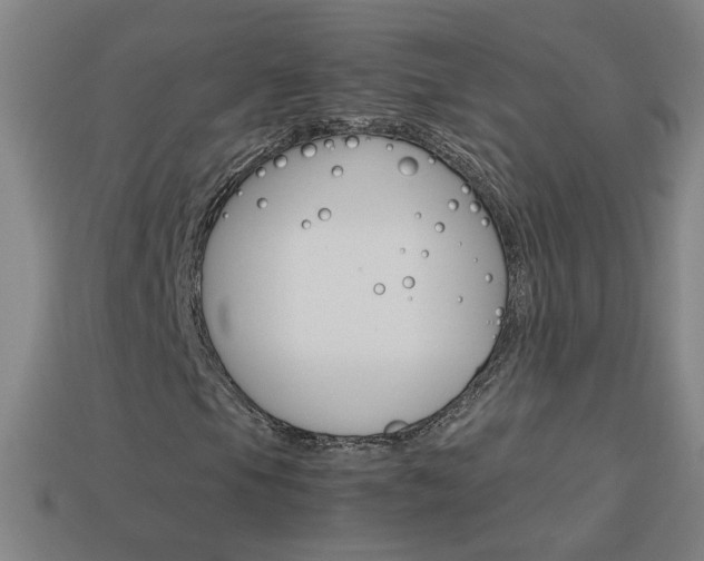 X0000114151105200910081107