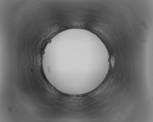 X0000114151107200910081107