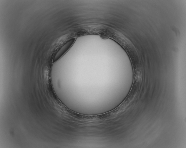 X0000114151108200910081107