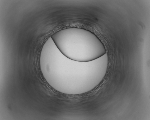 X0000114151109200910081107