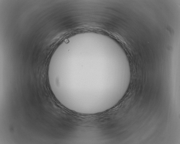X0000114151110200910081107