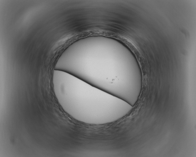 X0000114151111200910081107