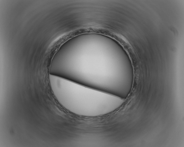 X0000114151112200910081107