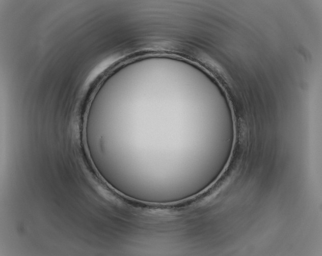 X0000114151114200910081107