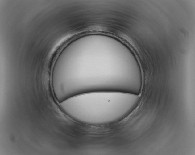 X0000114151115200910081107