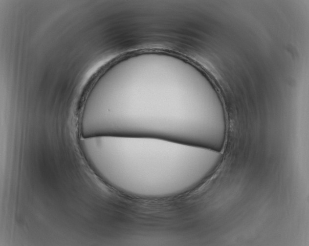 X0000114151119200910081107