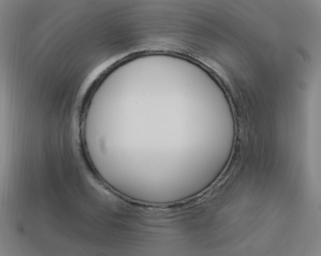 X0000114151120200910081107