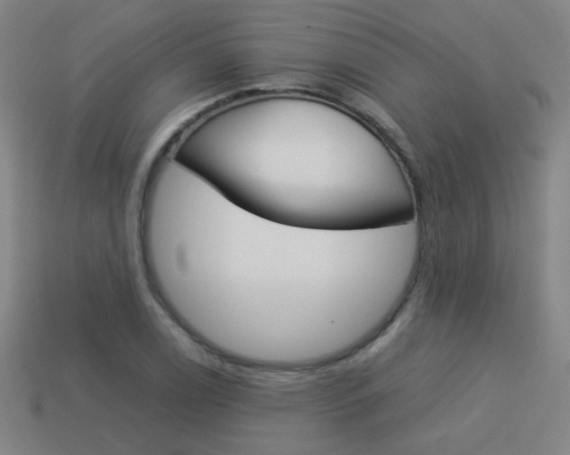 X0000114151122200910081107